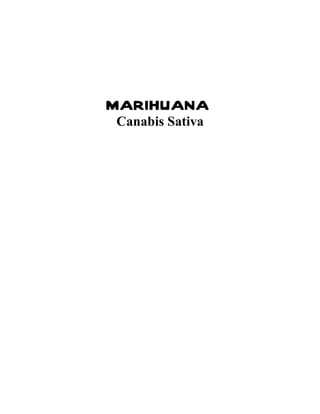 MARIHUANA
Canabis Sativa
 