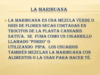 LA MARIHUANA

   La marihuana es una mezcla verde o
    gris de flores secas cortadas en
    trocitos de la planta Cannabis
    Sativa. Se fuma como un cigarrillo
    llamado "porro" o
    utilizando pipa. Los usuarios
    también mezclan la marihuana con
    alimentos o la usan para hacer té.
 