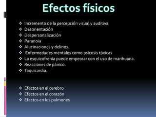 Incremento de la percepción visual y auditiva.
 Desorientación
 Despersonalización
 Paranoia
 Alucinaciones y delirios.
 Enfermedades mentales como psicosis tóxicas
 La esquizofrenia puede empeorar con el uso de marihuana.
 Reacciones de pánico.
 Taquicardia.
 Efectos en el cerebro
 Efectos en el corazón
 Efectos en los pulmones
 