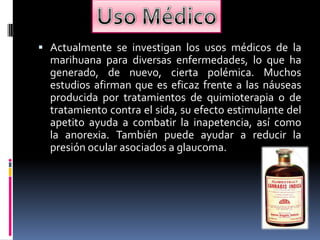  Actualmente se investigan los usos médicos de la
marihuana para diversas enfermedades, lo que ha
generado, de nuevo, cierta polémica. Muchos
estudios afirman que es eficaz frente a las náuseas
producida por tratamientos de quimioterapia o de
tratamiento contra el sida, su efecto estimulante del
apetito ayuda a combatir la inapetencia, así como
la anorexia. También puede ayudar a reducir la
presión ocular asociados a glaucoma.
 