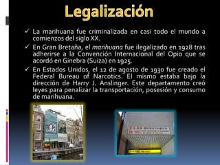  La marihuana fue criminalizada en casi todo el mundo a
comienzos del siglo XX.
 En Gran Bretaña, el marihuana fue ilegalizado en 1928 tras
adherirse a la Convención Internacional del Opio que se
acordó en Ginebra (Suiza) en 1925.
 En Estados Unidos, el 12 de agosto de 1930 fue creado el
Federal Bureau of Narcotics. El mismo estaba bajo la
dirección de Harry J. Anslinger. Este departamento creó
leyes para penalizar la transportación, posesión y consumo
de marihuana.
 