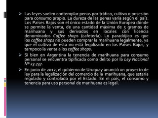  Las leyes suelen contemplar penas por tráfico, cultivo o posesión
para consumo propio. La dureza de las penas varía según el país.
Los Países Bajos son el único estado de la Unión Europea donde
se permite la venta, de una cantidad máxima de 5 gramos de
marihuana y sus derivados en locales con licencia
denominados Coffee shops (cafetería). Lo paradójico es que
los coffee shops no pueden comprar la marihuana legalmente, ya
que el cultivo de esta no está legalizado en los Países Bajos, y
tampoco la venta a los coffee shops.
 Si bien en Argentina la tenencia de marihuana para consumo
personal se encuentra tipificada como delito por la Ley Nacional
Nº 23.737.
 En junio de 2012, el gobierno de Uruguay anunció un proyecto de
ley para la legalización del comercio de la marihuana, que estaría
regulado y controlado por el Estado. En el país, el consumo y
tenencia para uso personal de marihuana es legal.
 