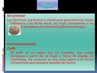 Sin procesar
Los términos marihuana o marihuana generalmente hacen
referencia a las flores secas, las hojas subyacentes y los
tallos de ejemplares hembra de la planta marihuana.
Formas procesadas
Quife
 El quife es un polvo rico en tricomas, que puede
tamizarse a partir de las hojas y flores de plantas de
marihuana. Se consume ya sea como polvo o de forma
comprimida para preparar pasteles de hachís.
.
 