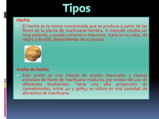 Hachís
 El hachís es la resina concentrada que se produce a partir de las
flores de la planta de marihuana hembra. A menudo resulta ser
muy potente, y puede comerse o mascarse. Varía en su color, de
negro a dorado, dependiendo de su pureza.
Aceite de hachís
 Este aceite es una mezcla de aceites esenciales y resinas
extraídas de flores de marihuana maduros, por medio del uso de
diferentes disolventes. Tiene una alta proporción de
cannabinoides, entre 40 y 90%,y se utiliza en una variedad de
alimentos de marihuana.
 