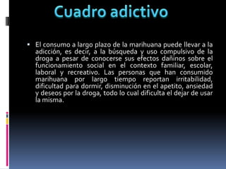  El consumo a largo plazo de la marihuana puede llevar a la
adicción, es decir, a la búsqueda y uso compulsivo de la
droga a pesar de conocerse sus efectos dañinos sobre el
funcionamiento social en el contexto familiar, escolar,
laboral y recreativo. Las personas que han consumido
marihuana por largo tiempo reportan irritabilidad,
dificultad para dormir, disminución en el apetito, ansiedad
y deseos por la droga, todo lo cual dificulta el dejar de usar
la misma.
 