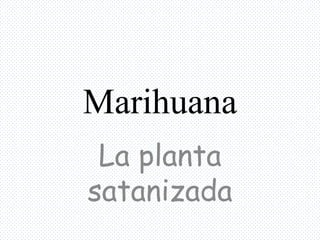Marihuana
La planta
satanizada

 
