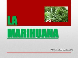 LA
MARIHUANA
NATALIA ORAN AGUZA 3ºE
 