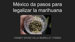 México da pasos para
legalizar la marihuana
VIANEY DIVAD VILLA MURILLO 1155803
 