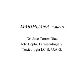 MARIHUANA  ( “Mota” ) Dr. José Torres Díaz Jefe Depto. Farmacología y  Toxicología I.C.B.-U.A.G. 