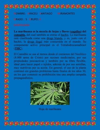NOMBRE: ARACELI SANTIAGO            MIRAMONTES
GRADO : 5 GRUPO: A
MARIHUANA

La marihuana es la mezcla de hojas y flores (cogollos) del
cannabis, del cual también se extrae el hachís. La marihuana
está clasificada como una droga blanda, y es, junto con el
hachís, la droga ilegal más consumida en el mundo. Su
componente activo principal es el Tetrahidrocannabinol
(THC).
El Cannábis se usa al menos desde el comienzo del Neolítico
(8.000 antes de Cristo) por razones medicinales, por sus
propiedades psicoactivas y también por su fibra flexible,
ideal para hacer papel o tejidos, además de por sus semillas,
muy nutritivas por su aceite. En general, el uso de la planta
continuó sin grandes problemas hasta finales de los años 30,
en los que comenzó su prohibición tras una amplia campaña
propagandística.




                     Hoja de marihuana
 