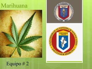 Marihuana
Equipo # 2
 
