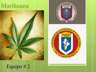 Marihuana

Equipo # 2

 