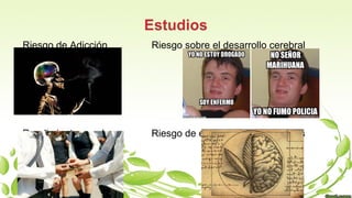 Riesgo de Adicción Riesgo sobre el desarrollo cerebral
Rendimiento escolar Riesgo de enfermedades mentales
 