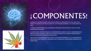 ¡COMPONENTES!
AUNQUE SE LA CONOCE DESDE HACE MILES DE AÑOS, SU INGREDIENTE ACTIVO, QUE ES UN
PRODUCTO QUÍMICO CONOCIDO COMO THC (TETRAHIDROCANABINOL), FUE SINTETIZADO EN
1966.
LA RESINA CONCENTRADA DE LA CANNABIS ES CONOCIDA COMO HACHÍS, EL CUAL SE FUMA
GENERALMENTE EN PIPA.
LA MARIHUANA CONTIENE MÁS DE 421 COMPONENTES QUÍMICOS, QUE SE TRANSFORMAN EN
MÁS DE 2.000 AL FUMARLA. MÁS DE 61 DE ÉSTAS SUSTANCIAS SE LLAMAN CANNABINOIDES Y
NO SE ENCUENTRAN EN NINGUNA OTRA PLANTA.
UNO DE ESOS CANNABINOIDES ES EL DELTA-9-TETRAHIDROCANABINOL. ES EL CANNABINOIDES
PSICOACTIVO QUE PRODUCE EL CONOCIDO HIGH O ESTADO DE INTOXICACIÓN ATRIBUIDO A LA
MARIHUANA.
 