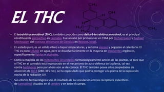 EL THC
• El tetrahidrocannabinol (THC), también conocido como delta-9-tetrahidrocannabinol, es el principal
constituyente psicoactivo en cannabis. Fue aislado por primera vez en 1964 por Yechiel Gaoni y Raphael
Mechoulam del Instituto Weizmann de Ciencias en Rejovot, Israel.
• En estado puro, es un sólido vítreo a bajas temperaturas, y se torna viscoso y pegajoso al calentarlo. El
THC es poco soluble en agua, pero se disuelve fácilmente en la mayoría de disolventes orgánicos,
específicamente lípidos y alcoholes.
• Como la mayoría de los metabolitos secundarios farmacológicamente activos de las plantas, se cree que
el THC en el cannabis está involucrado en el mecanismo de auto-defensa de la planta, tal vez
contra herbívoros pero por ahora aún se desconoce. El THC también posee altas propiedades de
absorción de UV-B (280–315 nm), se ha especulado que podría proteger a la planta de la exposición
nociva de la radiación UV.
• Sus efectos farmacológicos son el resultado de su vinculación con los receptores específicos
de cannabinol situados en el cerebro y en todo el cuerpo.
 