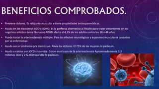 BENEFICIOS COMPROBADOS.
• Previene dolores. Es relajante muscular y tiene propiedades antiespasmódicas.
• Ayuda en los trastornos ADD y ADHD. Es la perfecta alternativa al Ritalin para tratar desordenes sin los
negativos efectos delos fármacos ADHD afecta al 4,1% de los adultos entre los 18 y 44 años.
• Puede tratar la arteriosclerosis múltiple. Para los efectos neurológicos y espasmos musculares causados
por la enfermedad.
• Ayuda con el síndrome pre menstrual. Alivia los dolores. El 75% de las mujeres lo padecen.
• Ayuda a calmar con OCD y tourette. Como en el caso de la arteriosclerosis Aproximadamente 3.3
millones OCD y 272.000 tourette lo padecen.
 