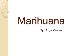   Marihuana By;  Angie Cuevas 