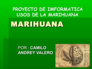 PROYECTO DE IMFORMATICA
 USOS DE LA MARIHUANA

MARIHUANA


 POR : CAMILO
 ANDREY VALERO
 