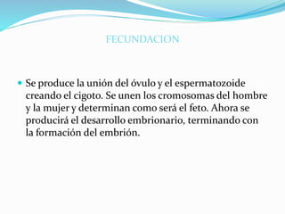 FECUNDACION
 Se produce la unión del óvulo y el espermatozoide
creando el cigoto. Se unen los cromosomas del hombre
y la mujer y determinan como será el feto. Ahora se
producirá el desarrollo embrionario, terminando con
la formación del embrión.
 