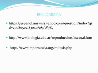 BIBLIOGRAFIA
 https://espanol.answers.yahoo.com/question/index?qi
d=20080502183040AApW7Zy
 http://www.biologia.edu.ar/reproduccion/asexual.htm
 http://www.importancia.org/mitosis.php
 