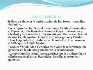 CARACTERISTICAS
- Se lleva a cabo con la participación de los Sexos masculino
femenino.
- En la reproducción Sexual intervienen Células Germinales
o Reproductoras llamadas Gametos (Espermatozoides y
Óvulos) y ésta se realiza únicamente por Meiosis, en la cual
de una Célula madre Diploide (2n) se originan 4 Células
Hijas Haploides (n), es decir con la mitad de Cromosomas
o ADN que la Célula Madre..
- Produce Variabilidad Genética mediante la recombinación
genética en la Meiosis y mediante la Fecundación.
- La reproducción sexual se caracteriza por la producción de
células especializadas Haploides: las células sexuales o
gametos.
 