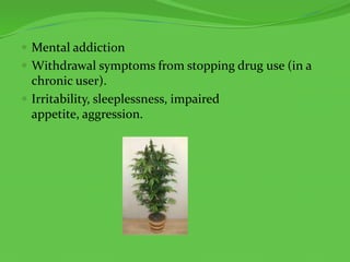 Mental addictionWithdrawal symptoms from stopping drug use (in a chronic user).Irritability, sleeplessness, impaired appetite, aggression.