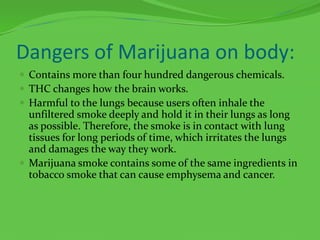 Dangers of Marijuana on body:Contains more than four hundred dangerous chemicals.THC changes how the brain works.Harmful to the lungs because users often inhale the unfiltered smoke deeply and hold it in their lungs as long as possible. Therefore, the smoke is in contact with lung tissues for long periods of time, which irritates the lungs and damages the way they work.Marijuana smoke contains some of the same ingredients in tobacco smoke that can cause emphysema and cancer.