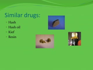 Similar drugs:HashHash oilKiefResin