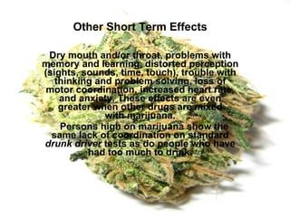 Other Short Term Effects Dry mouth and/or throat, problems with memory and learning, distorted perception (sights, sounds, time, touch), trouble with thinking and problem solving, loss of motor coordination, increased heart rate, and anxiety. These effects are even greater when other drugs are mixed with marijuana.     Persons high on marijuana show the same lack of coordination on standard  drunk driver  tests as do people who have had too much to drink. 