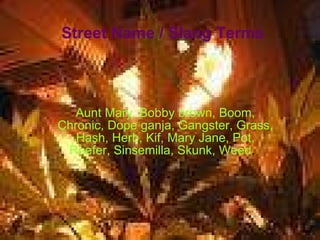 Street Name / Slang Terms Aunt Mary, Bobby brown, Boom, Chronic, Dope ganja, Gangster, Grass, Hash, Herb, Kif, Mary Jane, Pot, Reefer, Sinsemilla, Skunk, Weed ,  
