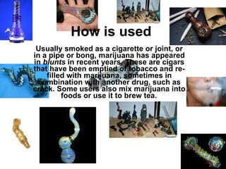 How is used   Usually smoked as a cigarette or joint, or in a pipe or bong, marijuana has appeared in  blunts  in recent years. These are cigars that have been emptied of tobacco and re-filled with marijuana, sometimes in combination with another drug, such as crack. Some users also mix marijuana into foods or use it to brew tea.   