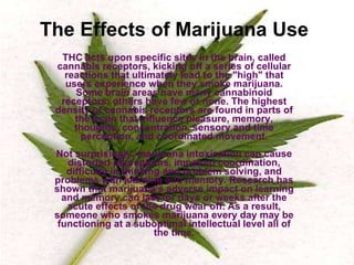 The Effects of Marijuana Use THC acts upon specific sites in the brain, called cannabis receptors, kicking off a series of cellular reactions that ultimately lead to the "high" that users experience when they smoke marijuana. Some brain areas have many cannabinoid receptors; others have few or none. The highest density of cannabis receptors are found in parts of the brain that influence pleasure, memory, thoughts, concentration, sensory and time perception, and coordinated movement. Not surprisingly, marijuana intoxication can cause distorted perceptions, impaired coordination, difficulty in thinking and problem solving, and problems with learning and memory. Research has shown that marijuana's adverse impact on learning and memory can last for days or weeks after the acute effects of the drug wear off. As a result, someone who smokes marijuana every day may be functioning at a suboptimal intellectual level all of the time. 