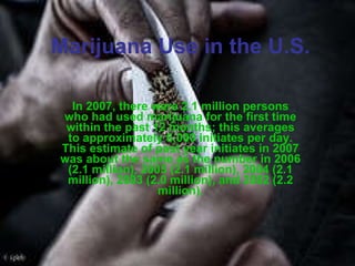 Marijuana Use in the U.S. In 2007, there were 2.1 million persons who had used marijuana for the first time within the past 12 months; this averages to approximately 6,000 initiates per day. This estimate of past year initiates in 2007 was about the same as the number in 2006 (2.1 million), 2005 (2.1 million), 2004 (2.1 million), 2003 (2.0 million), and 2002 (2.2 million). 