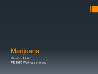 Marijuana Calvin J. Leach PE 2850 Wellness choices 