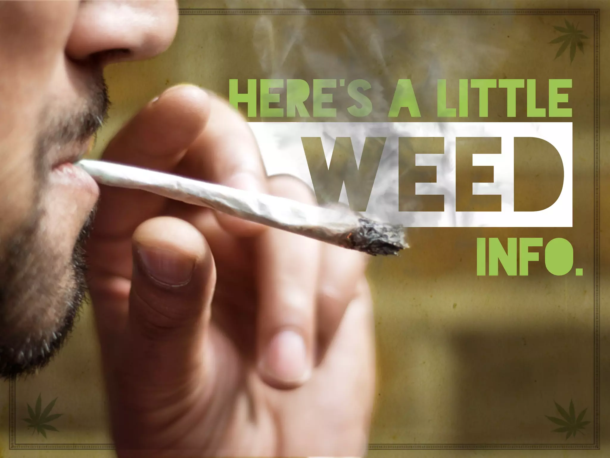 Here’s a little weed info.
here’s a little
weed
info.
 