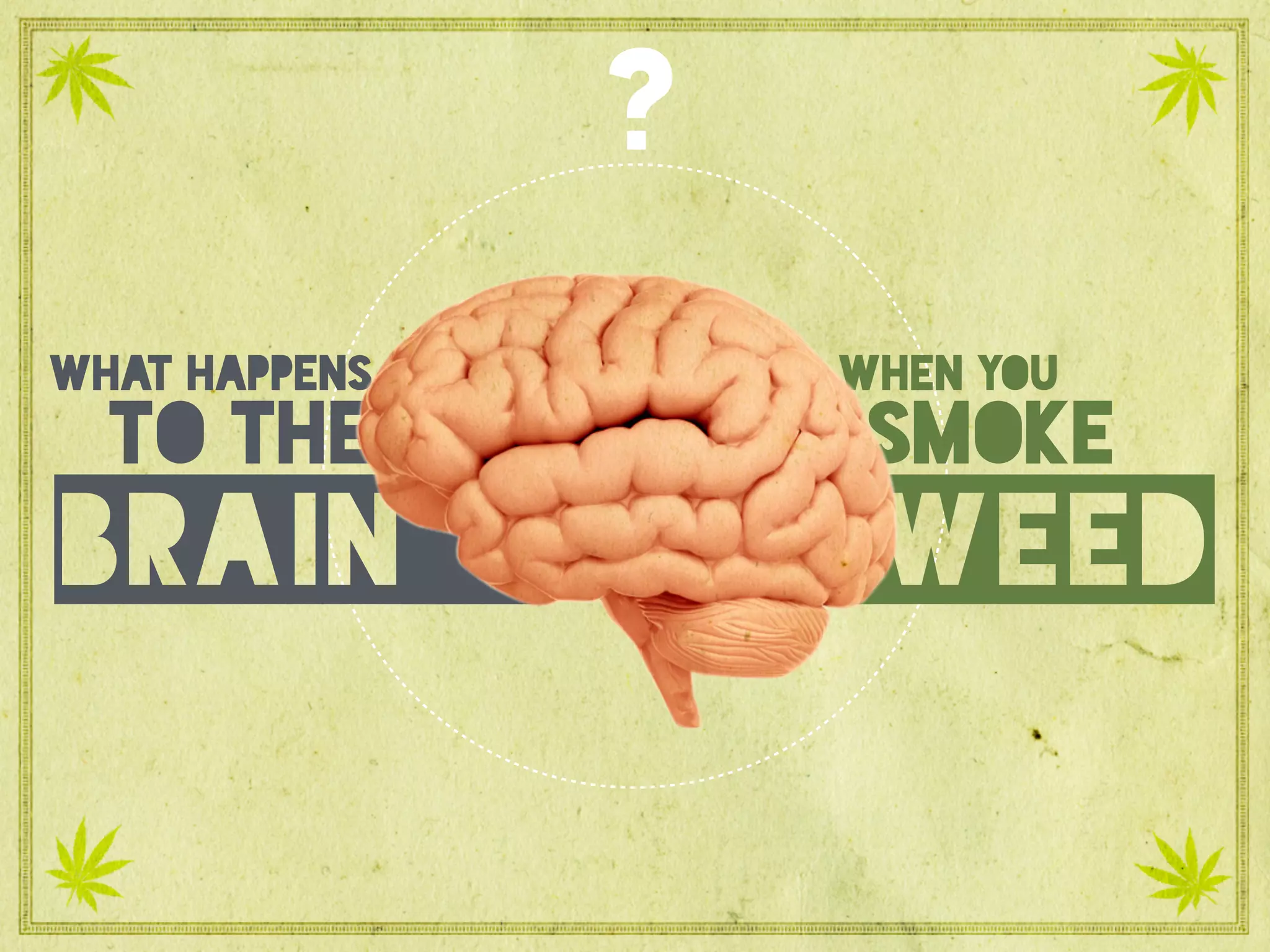 What happens to the brain when you smoke weed?
what happens
to the
brain
smoke
weed
when you
?
 