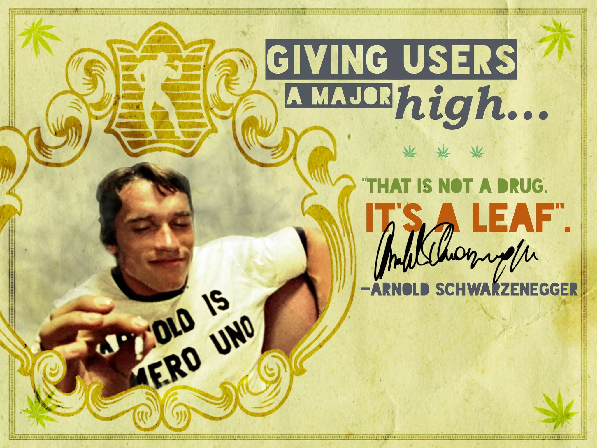 a major
giving users
high…
-Arnold Schwarzenegger
it’s a leaf”.
“that is not a drug.
 