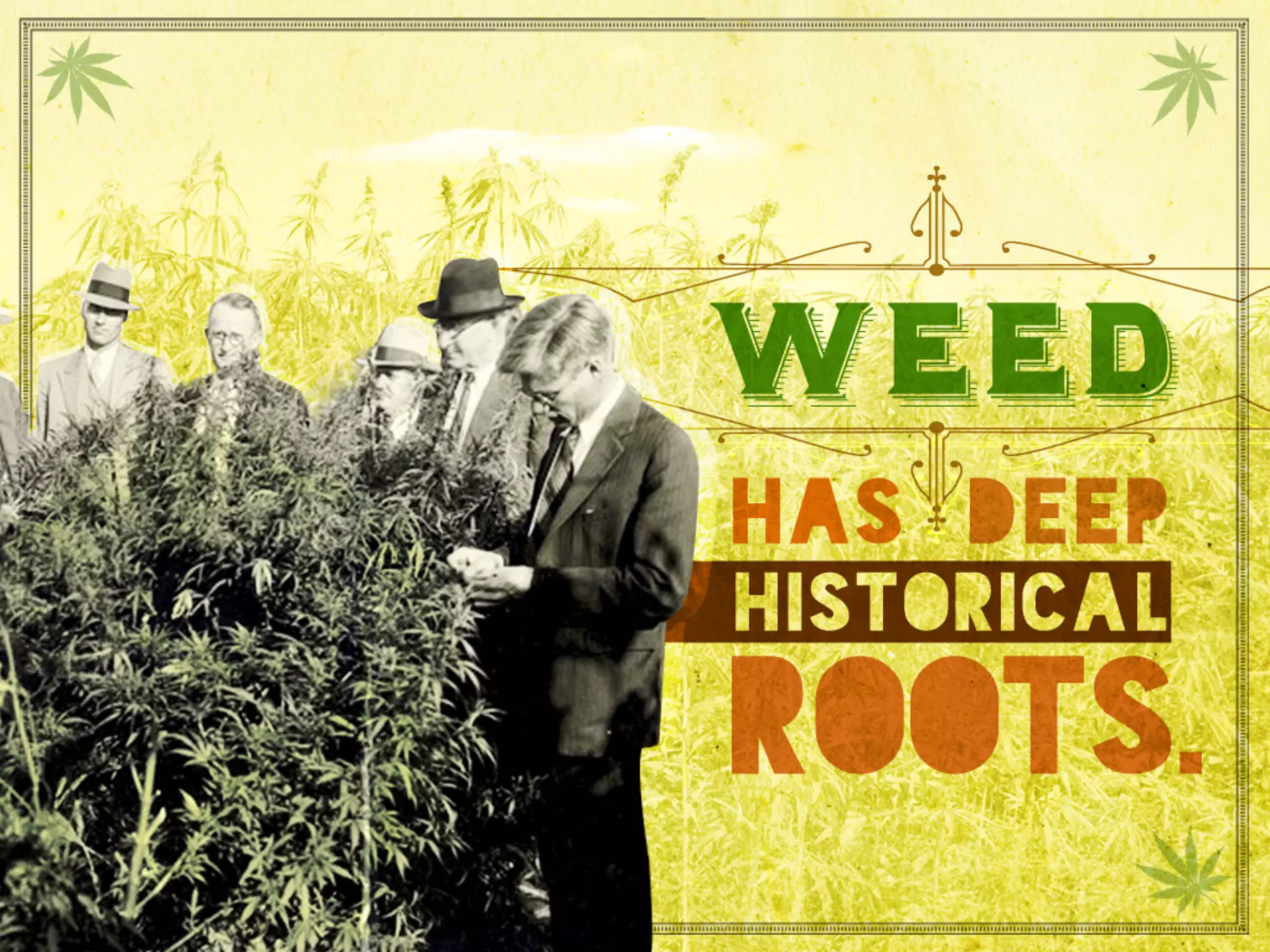 Weed has deep historical roots.
 