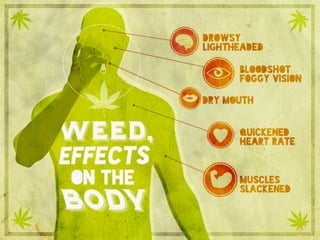 Weed, effects on the body.	

Drowsy and lightheaded	

Bloodshot foggy vision	

Dry mouth	

Quickened heart rate	

Muscles ...