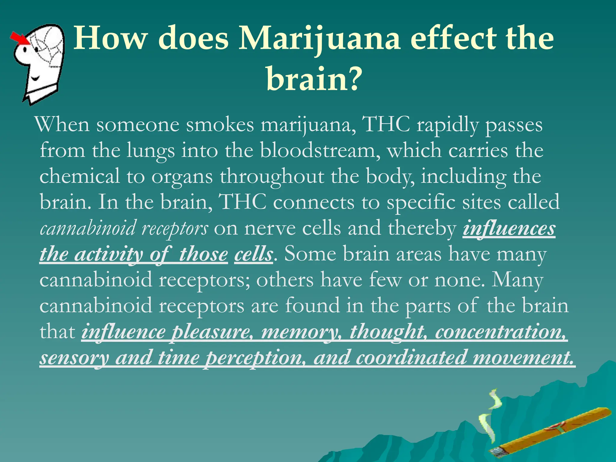 How does Marijuana effect the
brain?
When someone smokes marijuana, THC rapidly passes
from the lungs into the bloodstream, which carries the
chemical to organs throughout the body, including the
brain. In the brain, THC connects to specific sites called
cannabinoid receptors on nerve cells and thereby influences
the activity of those cells. Some brain areas have many
cannabinoid receptors; others have few or none. Many
cannabinoid receptors are found in the parts of the brain
that influence pleasure, memory, thought, concentration,
sensory and time perception, and coordinated movement.
 