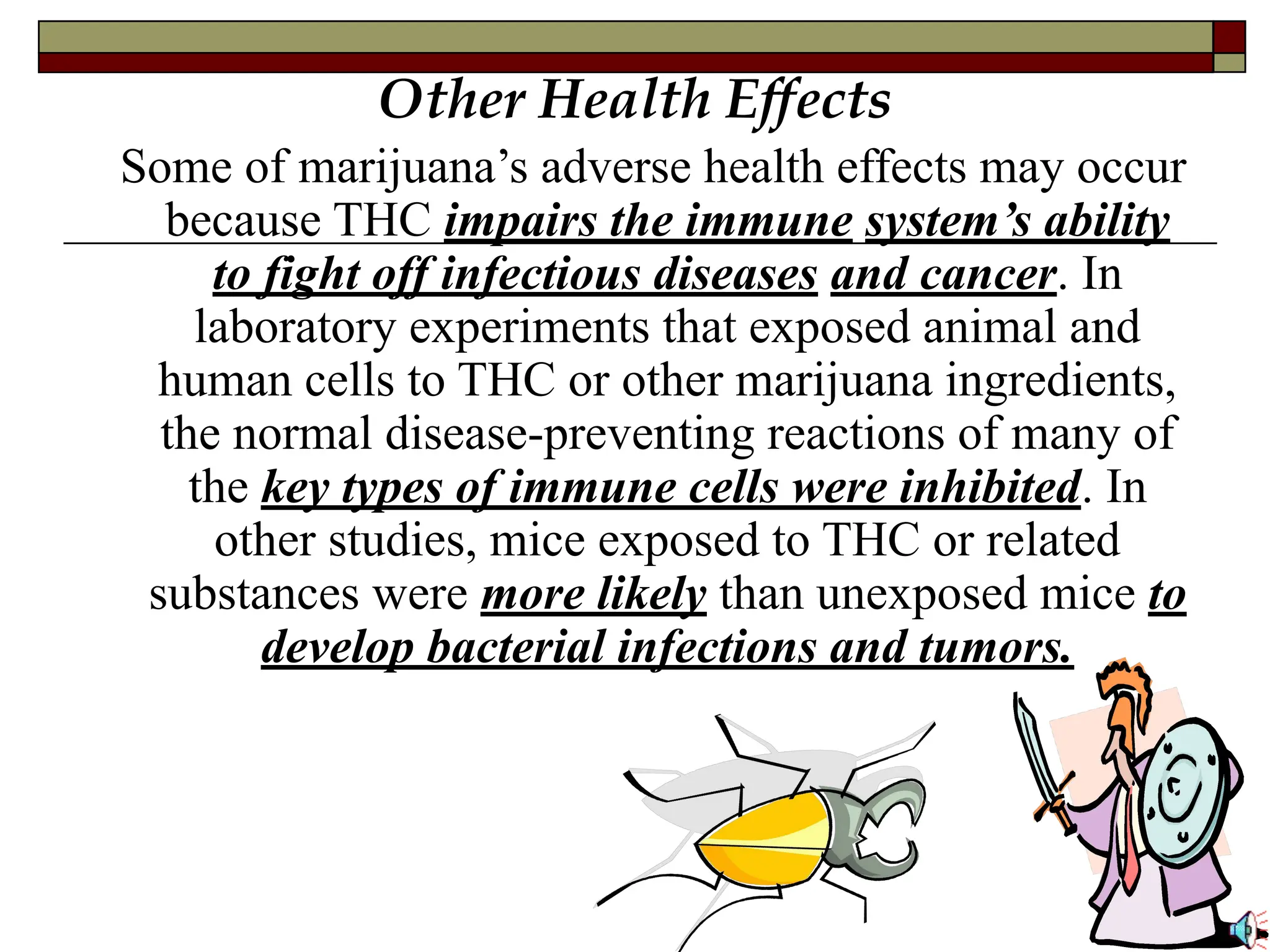Other Health Effects
Some of marijuana’s adverse health effects may occur
because THC impairs the immune system’s ability
to fight off infectious diseases and cancer. In
laboratory experiments that exposed animal and
human cells to THC or other marijuana ingredients,
the normal disease-preventing reactions of many of
the key types of immune cells were inhibited. In
other studies, mice exposed to THC or related
substances were more likely than unexposed mice to
develop bacterial infections and tumors.
 