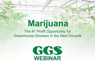 Marijuana
The #1 Profit Opportunity for
Greenhouse Growers in the Next Decade
WEBINAR
 