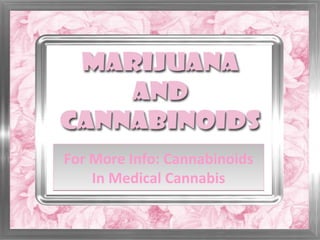 For More Info: Cannabinoids
In Medical Cannabis
For More Info: Cannabinoids
In Medical Cannabis
 