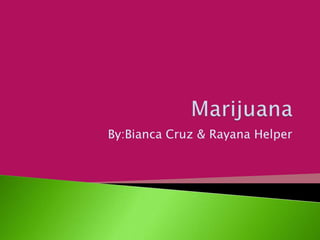 Marijuana  By:Bianca Cruz & Rayana Helper 