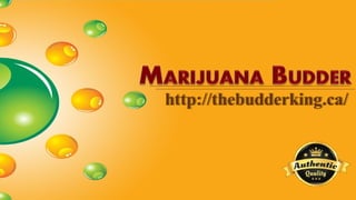 Marijuana Budder