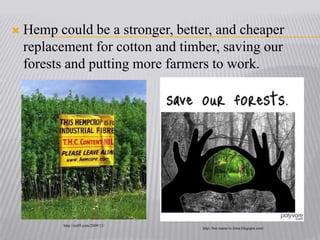Hemp could be a stronger, better, and cheaper replacement for cotton and timber, saving our forests and putting more farmers to work.http://cali9.com/2009/12/http://her-name-is-irina.blogspot.com/