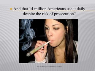 And that 14 million Americans use it daily despite the risk of prosecution?http://doc40.blogspot.com/2010/03/cash-crop.html