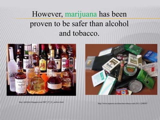 However, marijuana has been proven to be safer than alcohol and tobacco.http://phillybri.blogspot.com/2007_07_01_archive.htmlhttp://www.topnews.in/china-ban-tobacco-ads-2011-2200507