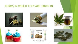 FORMS IN WHICH THEY ARE TAKEN IN
 