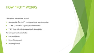 HOW “POT” WORKS
Cannabinoid transmission include:
 Anandamide: The body’s own cannabinoid neurotransmitter
 2 – AG (Arachidolic Glycerol) neurotransmitter
 THC: Delta 9 Tetrahydrocannabinol – Cannabidiol
Physiological function includes:
 Pain modulation
 Stress Management
 Mood regulation
 
